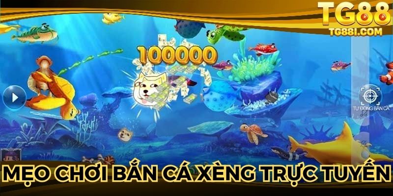 Bí kíp săn thưởng trong game cực hiệu quả mỗi ngày