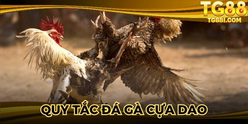 Nắm rõ thời gian thi đấu để không bỏ lỡ phút giây kịch tính