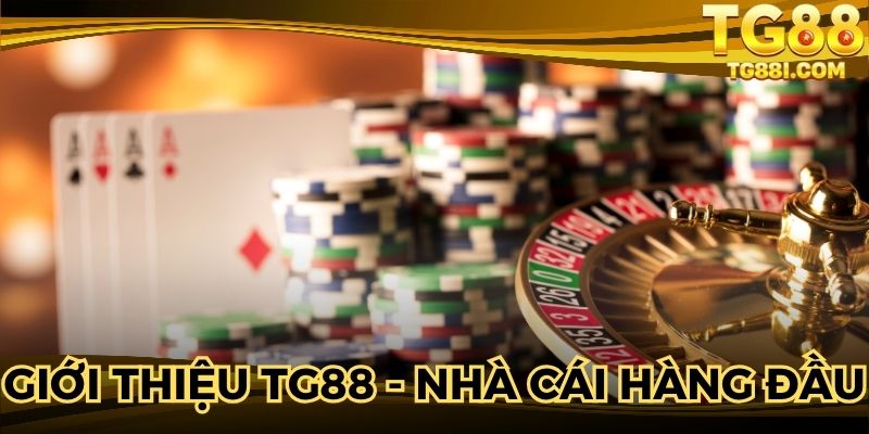 Giới thiệu TG88 - Nhà cái hàng đầu thị trường